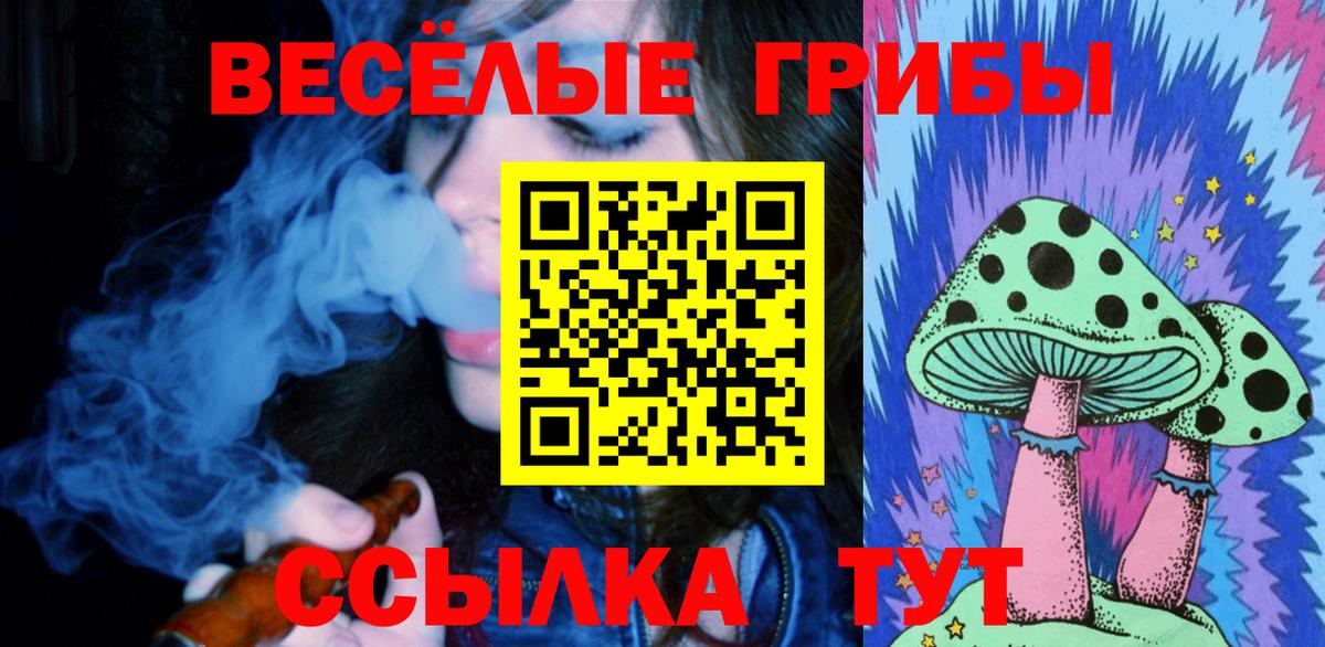 Псилоцибиновые грибы мицелий Бахчисарай